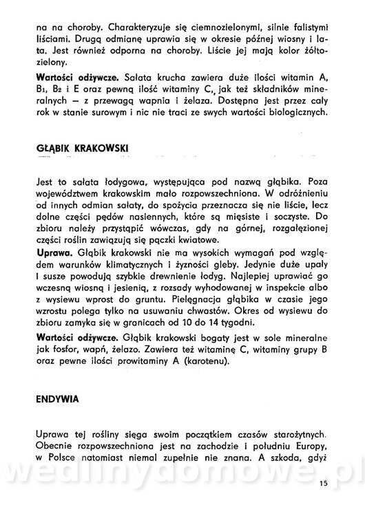 Urozmaicone Potrawy Z Warzyw_14.jpg