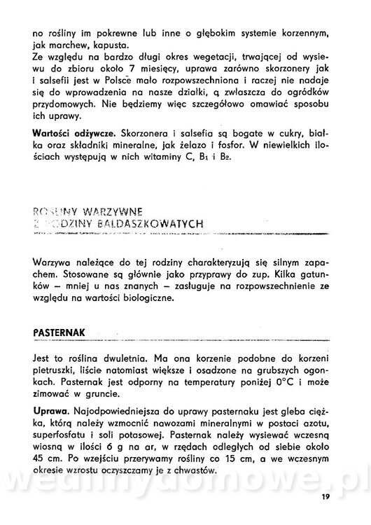 Urozmaicone Potrawy Z Warzyw_18.jpg
