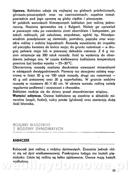 Urozmaicone Potrawy Z Warzyw_22.jpg