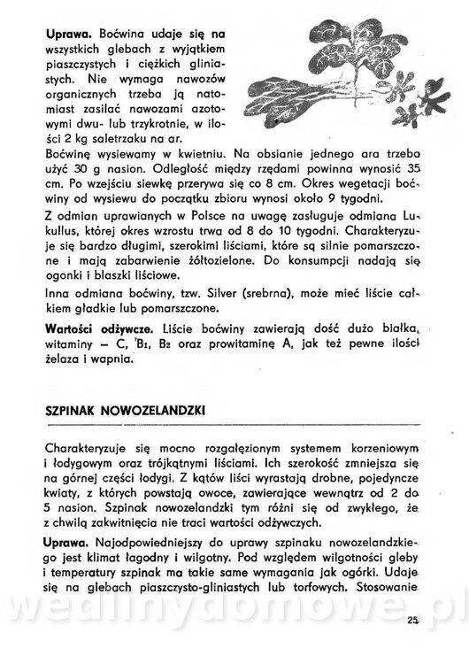 Urozmaicone Potrawy Z Warzyw_24.jpg