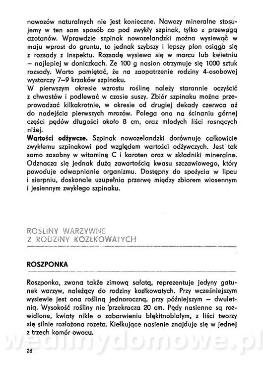 Urozmaicone Potrawy Z Warzyw_25.jpg
