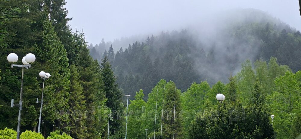 20250523_081525.jpg