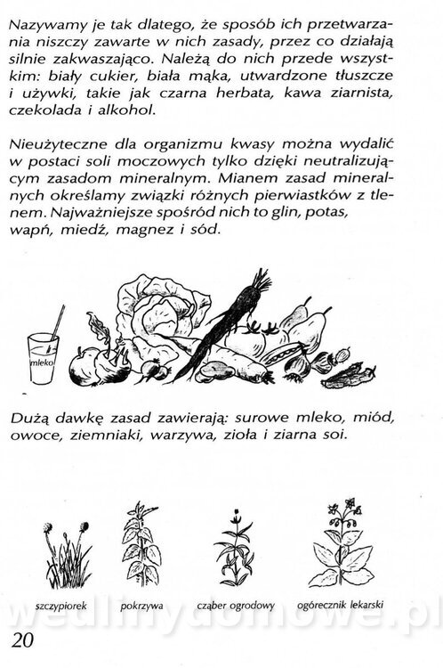 Podręcznik naturalnego ogrodnictwa_020.jpg