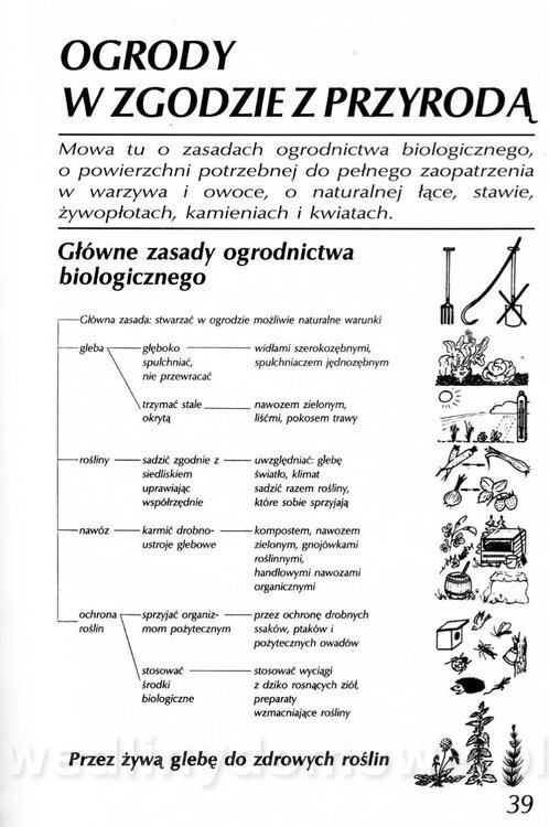 Podręcznik naturalnego ogrodnictwa_039.jpg