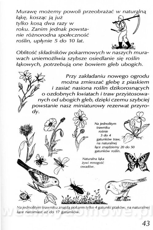 Podręcznik naturalnego ogrodnictwa_043.jpg