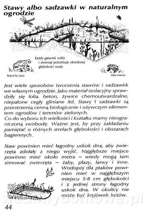 Podręcznik naturalnego ogrodnictwa_044.jpg