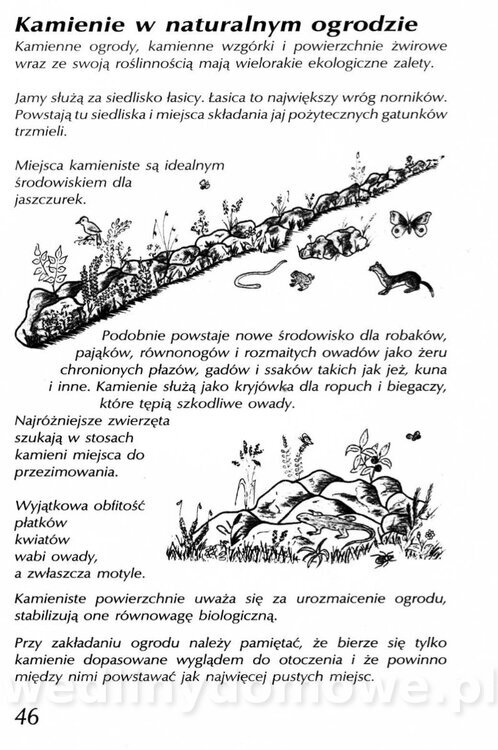 Podręcznik naturalnego ogrodnictwa_046.jpg