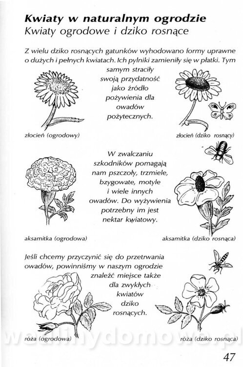 Podręcznik naturalnego ogrodnictwa_047.jpg
