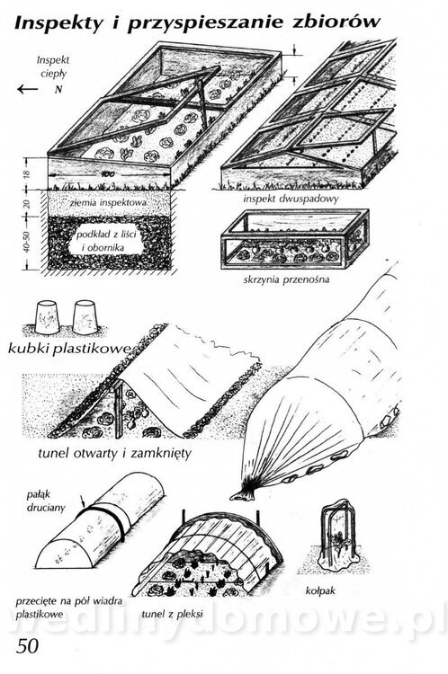 Podręcznik naturalnego ogrodnictwa_050.jpg