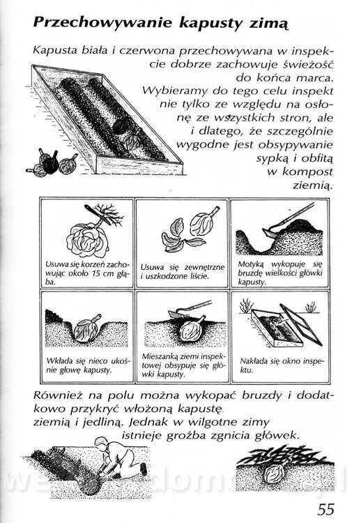 Podręcznik naturalnego ogrodnictwa_055.jpg
