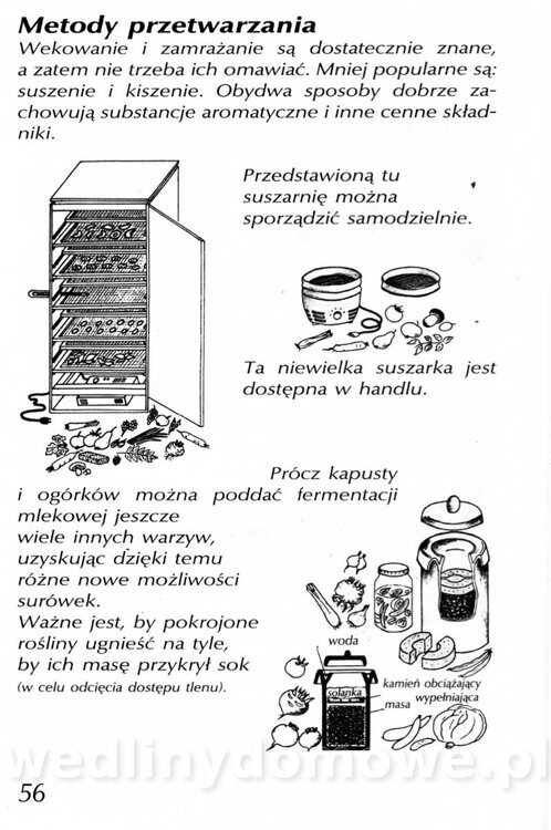 Podręcznik naturalnego ogrodnictwa_056.jpg