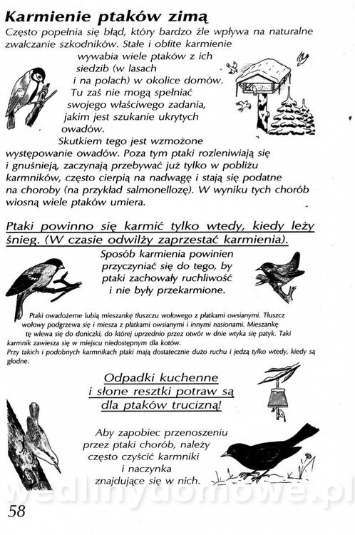 Podręcznik naturalnego ogrodnictwa_058.jpg
