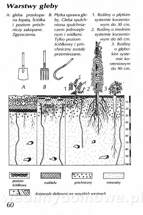 Podręcznik naturalnego ogrodnictwa_060.jpg