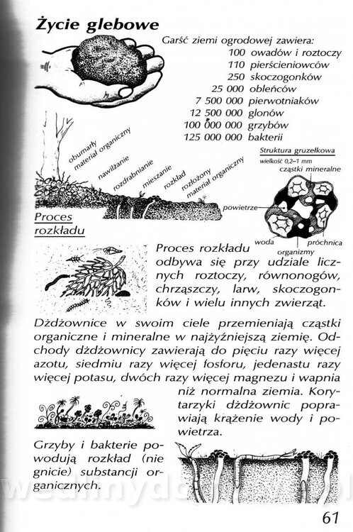 Podręcznik naturalnego ogrodnictwa_061.jpg