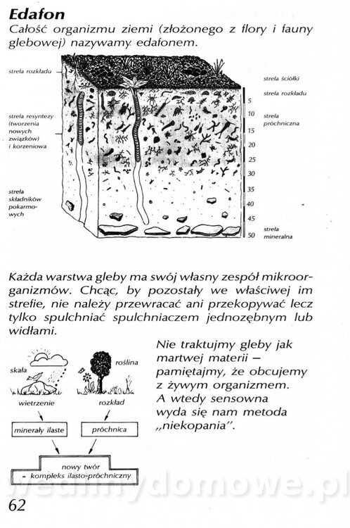 Podręcznik naturalnego ogrodnictwa_062.jpg