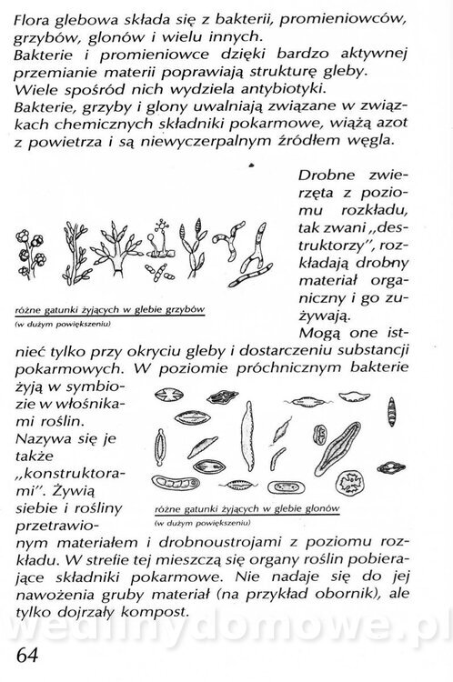 Podręcznik naturalnego ogrodnictwa_064.jpg