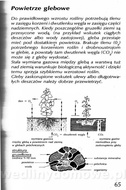 Podręcznik naturalnego ogrodnictwa_065.jpg