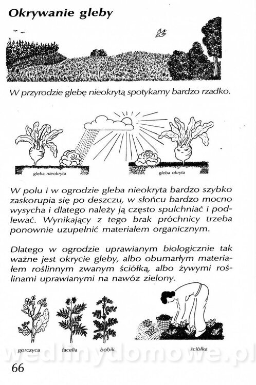 Podręcznik naturalnego ogrodnictwa_066.jpg