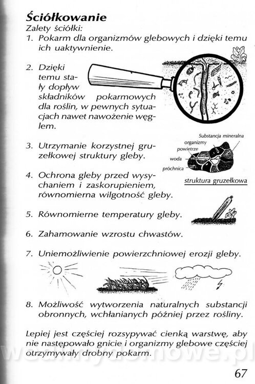 Podręcznik naturalnego ogrodnictwa_067.jpg
