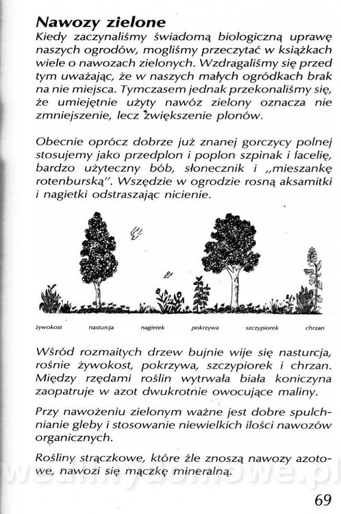 Podręcznik naturalnego ogrodnictwa_069.jpg