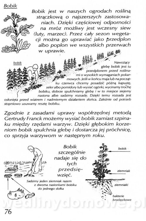 Podręcznik naturalnego ogrodnictwa_076.jpg