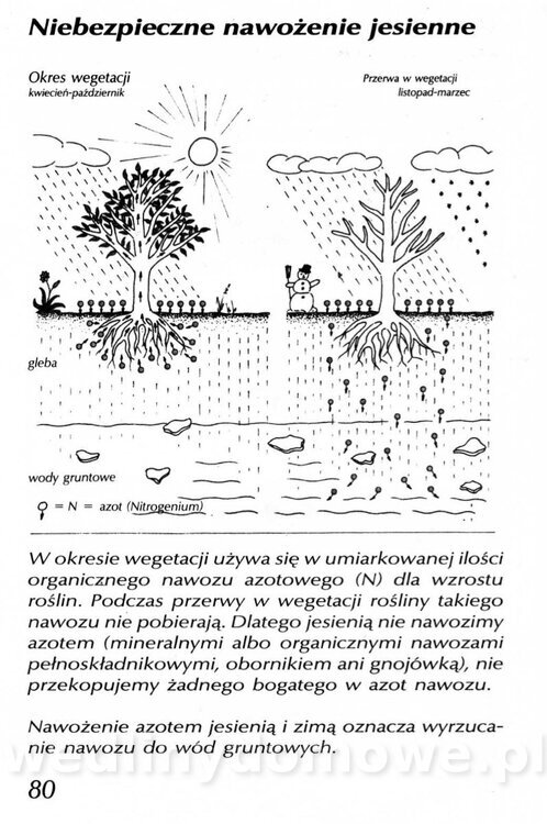 Podręcznik naturalnego ogrodnictwa_080.jpg