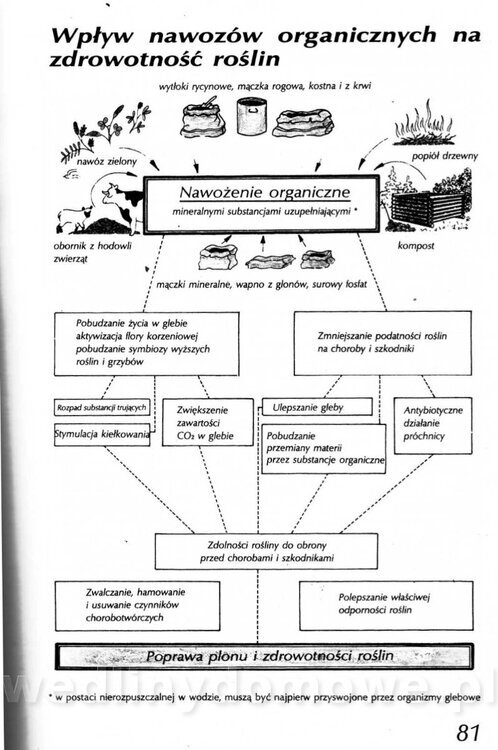 Podręcznik naturalnego ogrodnictwa_081.jpg