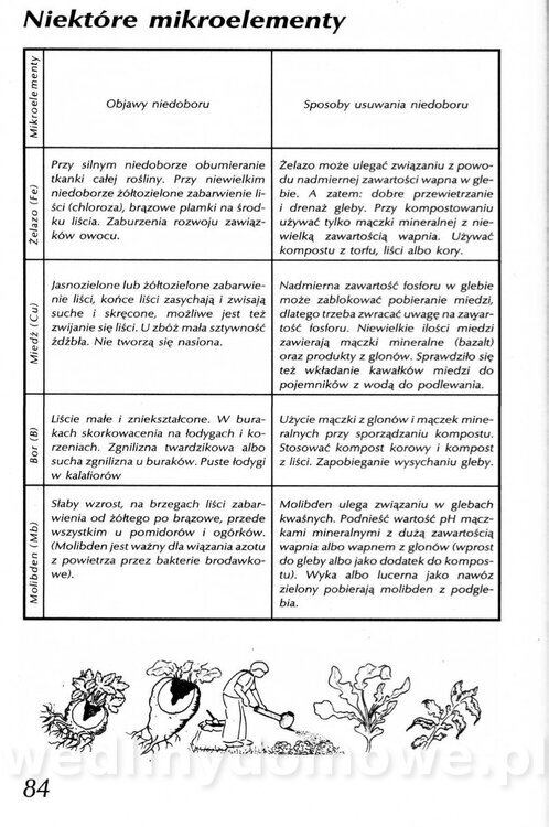 Podręcznik naturalnego ogrodnictwa_084.jpg