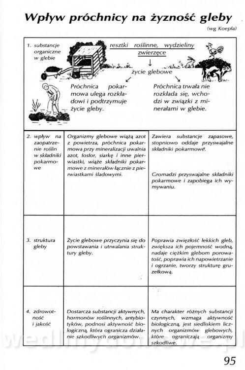 Podręcznik naturalnego ogrodnictwa_095.jpg