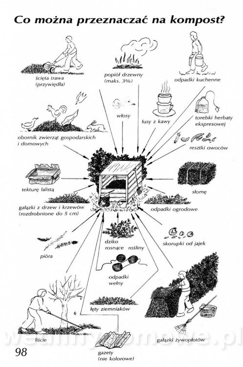 Podręcznik naturalnego ogrodnictwa_098.jpg