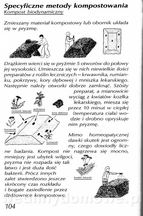 Podręcznik naturalnego ogrodnictwa_104.jpg