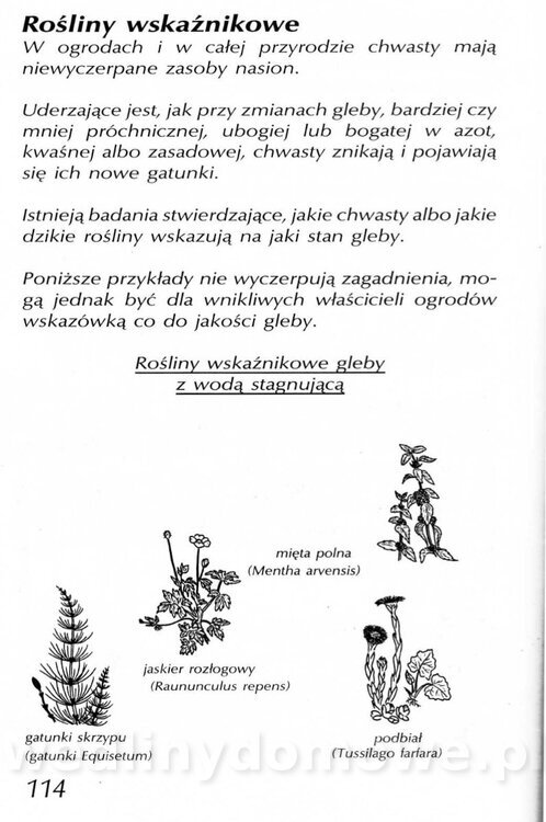 Podręcznik naturalnego ogrodnictwa_114.jpg