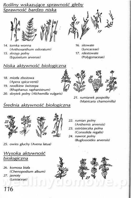Podręcznik naturalnego ogrodnictwa_116.jpg