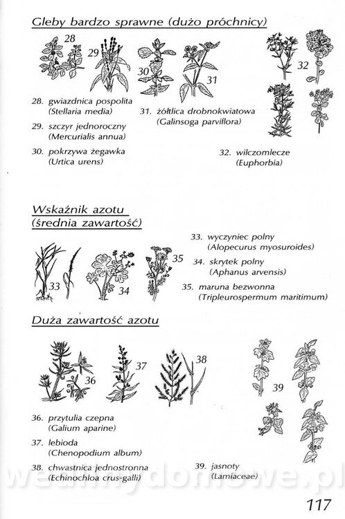 Podręcznik naturalnego ogrodnictwa_117.jpg