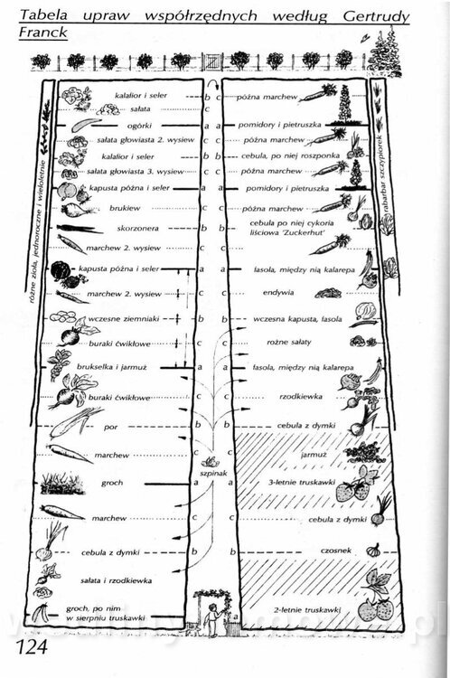 Podręcznik naturalnego ogrodnictwa_124.jpg