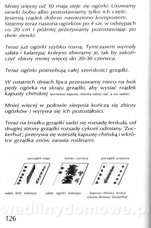 Podręcznik naturalnego ogrodnictwa_126.jpg