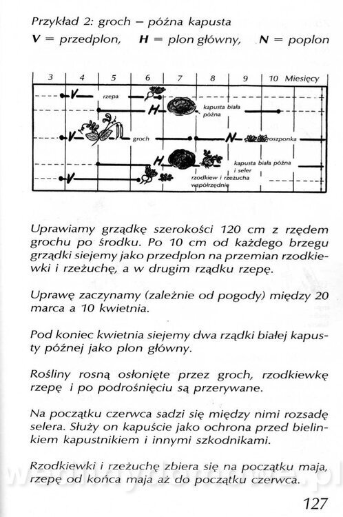 Podręcznik naturalnego ogrodnictwa_127.jpg