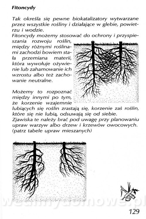 Podręcznik naturalnego ogrodnictwa_129.jpg