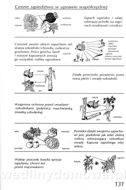 Podręcznik naturalnego ogrodnictwa_131.jpg