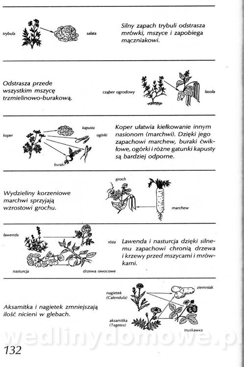 Podręcznik naturalnego ogrodnictwa_132.jpg