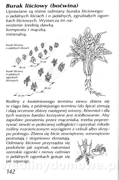 Podręcznik naturalnego ogrodnictwa_142.jpg