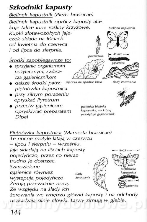 Podręcznik naturalnego ogrodnictwa_144.jpg