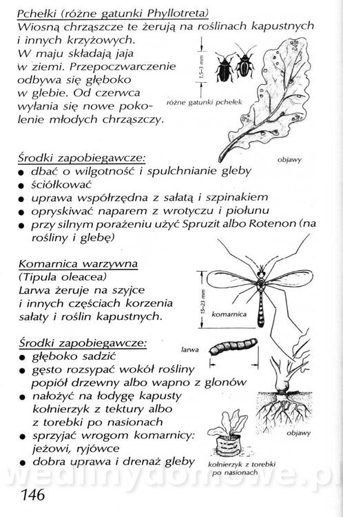 Podręcznik naturalnego ogrodnictwa_146.jpg