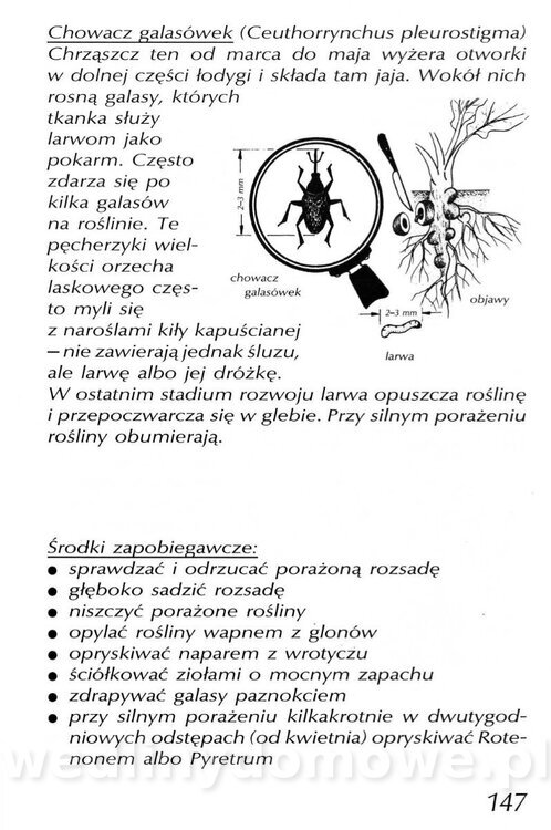 Podręcznik naturalnego ogrodnictwa_147.jpg
