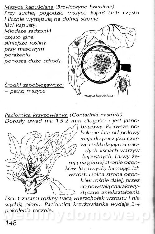 Podręcznik naturalnego ogrodnictwa_148.jpg