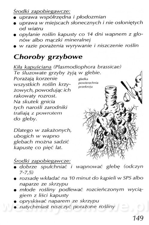 Podręcznik naturalnego ogrodnictwa_149.jpg
