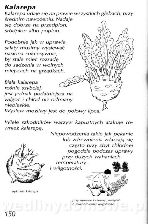 Podręcznik naturalnego ogrodnictwa_150.jpg