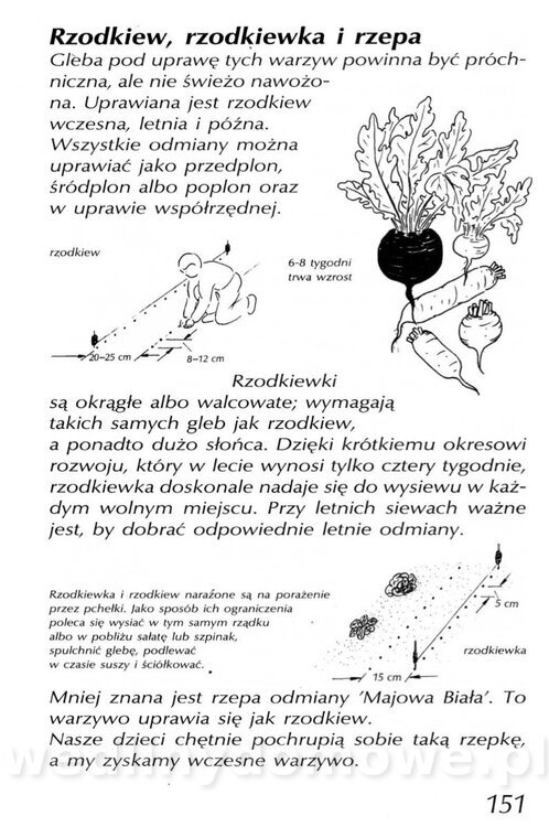 Podręcznik naturalnego ogrodnictwa_151.jpg