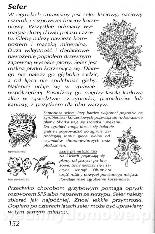 Podręcznik naturalnego ogrodnictwa_152.jpg