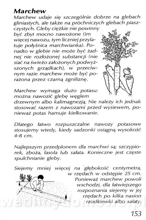 Podręcznik naturalnego ogrodnictwa_153.jpg